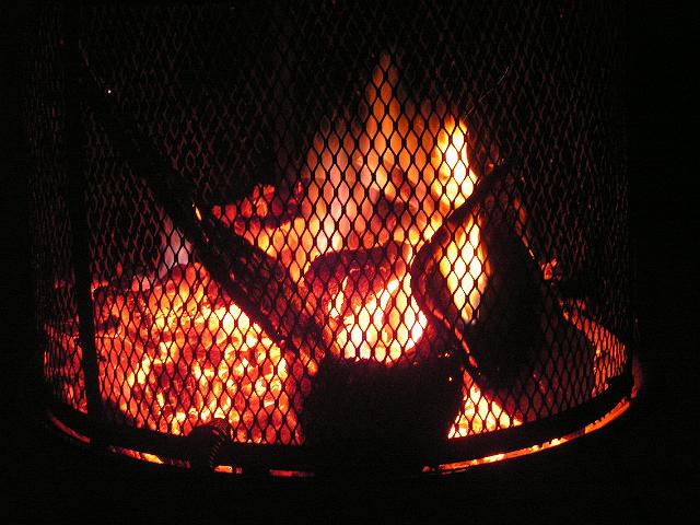 Picture 733.jpg